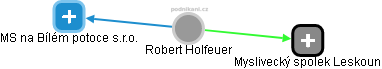 Robert Holfeuer - Vizualizace  propojení osoby a firem v obchodním rejstříku