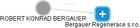  Bergauer R. - Vizualizace  propojení osoby a firem v obchodním rejstříku