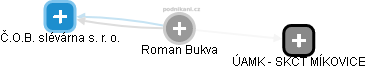 Roman Bukva - Vizualizace  propojení osoby a firem v obchodním rejstříku