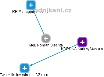  Roman Š. - Vizualizace  propojení osoby a firem v obchodním rejstříku
