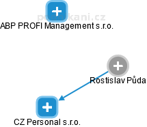 Rostislav P. - Vizualizace  propojení osoby a firem v obchodním rejstříku