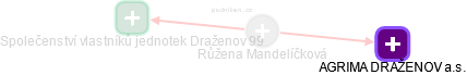 Růžena Mandelíčková - Vizualizace  propojení osoby a firem v obchodním rejstříku