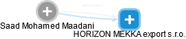 Saad Mohamed Maadani - Vizualizace  propojení osoby a firem v obchodním rejstříku