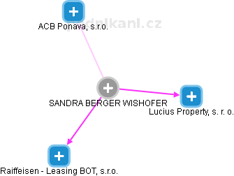 SANDRA BERGER-WISHOFER - Vizualizace  propojení osoby a firem v obchodním rejstříku