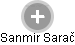 Sanmir Sarač - Vizualizace  propojení osoby a firem v obchodním rejstříku