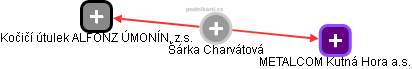Šárka Charvátová - Vizualizace  propojení osoby a firem v obchodním rejstříku