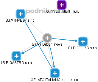 Šárka Drbohlavová - Vizualizace  propojení osoby a firem v obchodním rejstříku