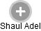 Shaul Adel - Vizualizace  propojení osoby a firem v obchodním rejstříku