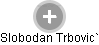 Slobodan Trbovic` - Vizualizace  propojení osoby a firem v obchodním rejstříku