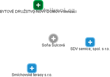 Soňa Šulcová - Vizualizace  propojení osoby a firem v obchodním rejstříku