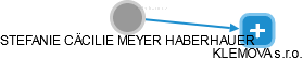  Meyer S. - Vizualizace  propojení osoby a firem v obchodním rejstříku