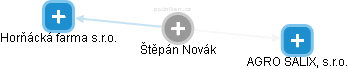  Štěpán N. - Vizualizace  propojení osoby a firem v obchodním rejstříku