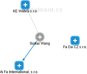 Suikai Wang - Vizualizace  propojení osoby a firem v obchodním rejstříku