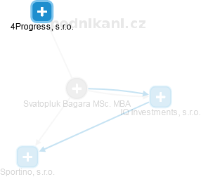  Bagara S. - Vizualizace  propojení osoby a firem v obchodním rejstříku