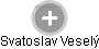  Svatoslav V. - Vizualizace  propojení osoby a firem v obchodním rejstříku