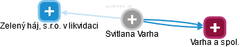  Svitlana V. - Vizualizace  propojení osoby a firem v obchodním rejstříku