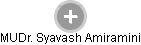  Syavash A. - Vizualizace  propojení osoby a firem v obchodním rejstříku