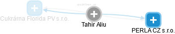 Tahir Aliu - Vizualizace  propojení osoby a firem v obchodním rejstříku