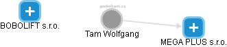 Tam Wolfgang - Vizualizace  propojení osoby a firem v obchodním rejstříku