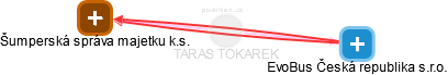 TARAS TOKAREK - Vizualizace  propojení osoby a firem v obchodním rejstříku