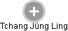 Tchang Jüng Ling - Vizualizace  propojení osoby a firem v obchodním rejstříku