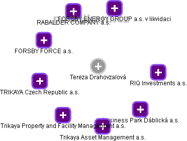  Tereza D. - Vizualizace  propojení osoby a firem v obchodním rejstříku