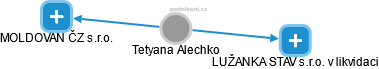 Tetyana Alechko - Vizualizace  propojení osoby a firem v obchodním rejstříku