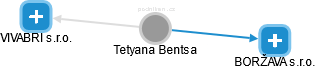  Tetyana B. - Vizualizace  propojení osoby a firem v obchodním rejstříku