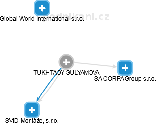 TUKHTAOY GULYAMOVA - Vizualizace  propojení osoby a firem v obchodním rejstříku