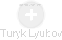 Turyk Lyubov - Vizualizace  propojení osoby a firem v obchodním rejstříku
