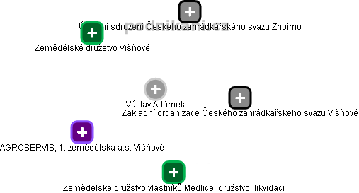  Václav A. - Vizualizace  propojení osoby a firem v obchodním rejstříku