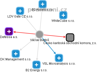  Václav B. - Vizualizace  propojení osoby a firem v obchodním rejstříku