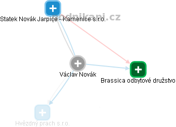  Václav N. - Vizualizace  propojení osoby a firem v obchodním rejstříku