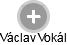  Václav V. - Vizualizace  propojení osoby a firem v obchodním rejstříku