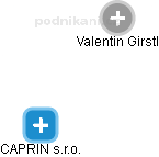  Valentin G. - Vizualizace  propojení osoby a firem v obchodním rejstříku