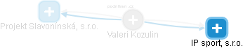 Valeri Kozulin - Vizualizace  propojení osoby a firem v obchodním rejstříku
