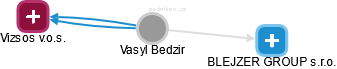 Vasyl Bedzir - Vizualizace  propojení osoby a firem v obchodním rejstříku