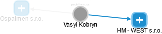 Vasyl Kobryn - Vizualizace  propojení osoby a firem v obchodním rejstříku