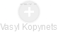 Vasyl Kopynets - Vizualizace  propojení osoby a firem v obchodním rejstříku