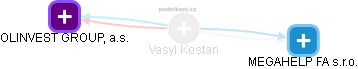  Vasyl K. - Vizualizace  propojení osoby a firem v obchodním rejstříku