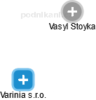  Vasyl S. - Vizualizace  propojení osoby a firem v obchodním rejstříku