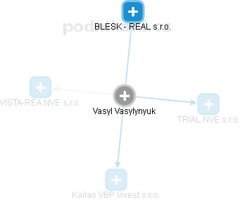 Vasyl Vasylynyuk - Vizualizace  propojení osoby a firem v obchodním rejstříku