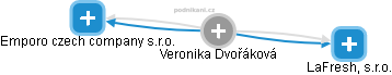  Veronika D. - Vizualizace  propojení osoby a firem v obchodním rejstříku