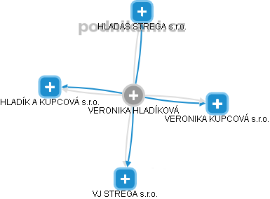  Veronika K. - Vizualizace  propojení osoby a firem v obchodním rejstříku