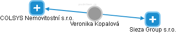 Veronika Kopalová - Vizualizace  propojení osoby a firem v obchodním rejstříku