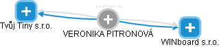  Pitronová V. - Vizualizace  propojení osoby a firem v obchodním rejstříku