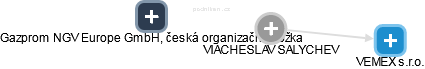  Viacheslav S. - Vizualizace  propojení osoby a firem v obchodním rejstříku