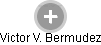 Victor V. Bermudez - Vizualizace  propojení osoby a firem v obchodním rejstříku