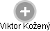 Viktor Kožený - Vizualizace  propojení osoby a firem v obchodním rejstříku