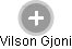 Vilson Gjoni - Vizualizace  propojení osoby a firem v obchodním rejstříku